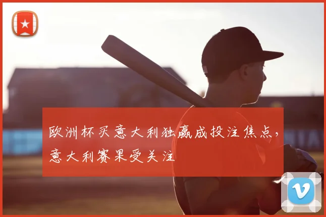 欧洲杯买意大利独赢成投注焦点，意大利赛果受关注