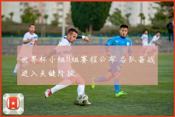 世界杯小组H组赛程公布 各队备战进入关键阶段