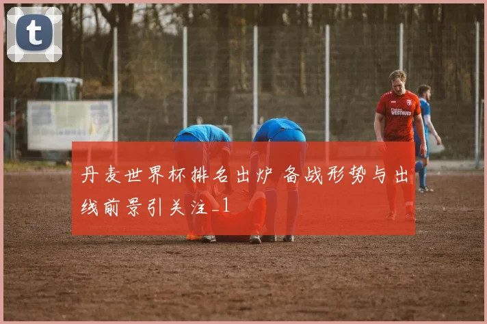 丹麦世界杯排名出炉 备战形势与出线前景引关注_1