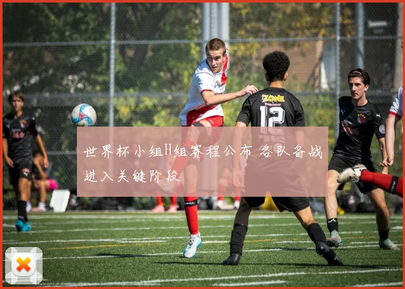 世界杯小组H组赛程公布 各队备战进入关键阶段
