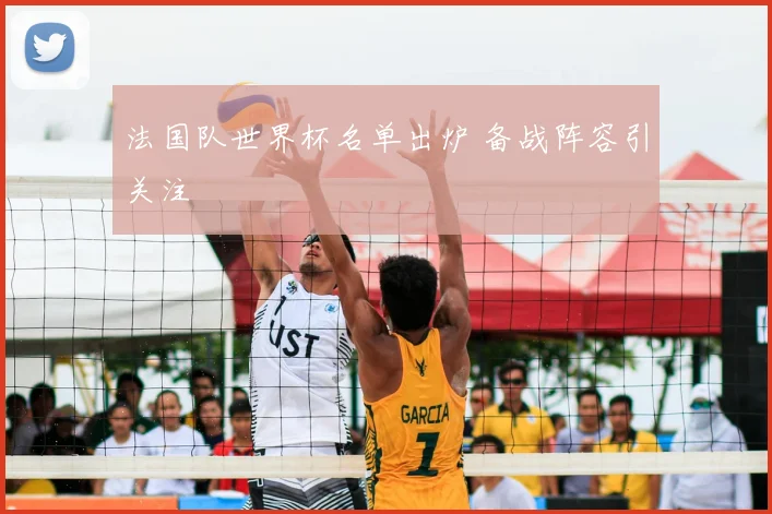 法国队世界杯名单出炉 备战阵容引关注