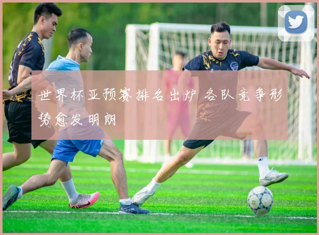 世界杯亚预赛排名出炉 各队竞争形势愈发明朗