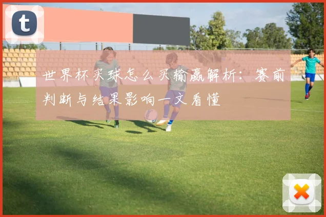 世界杯买球怎么买输赢解析：赛前判断与结果影响一文看懂