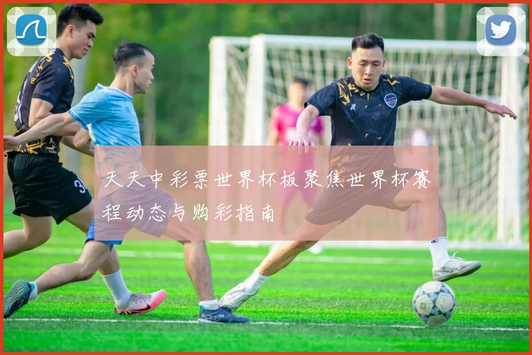 天天中彩票世界杯板聚焦世界杯赛程动态与购彩指南