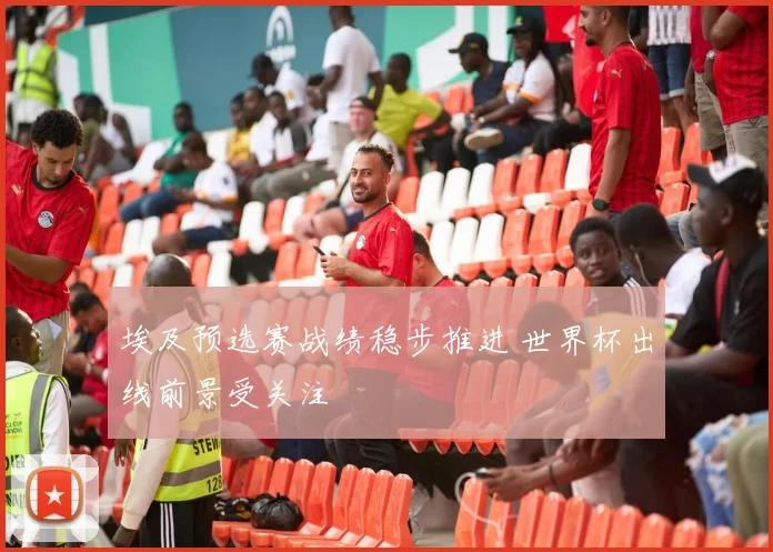 埃及预选赛战绩稳步推进 世界杯出线前景受关注