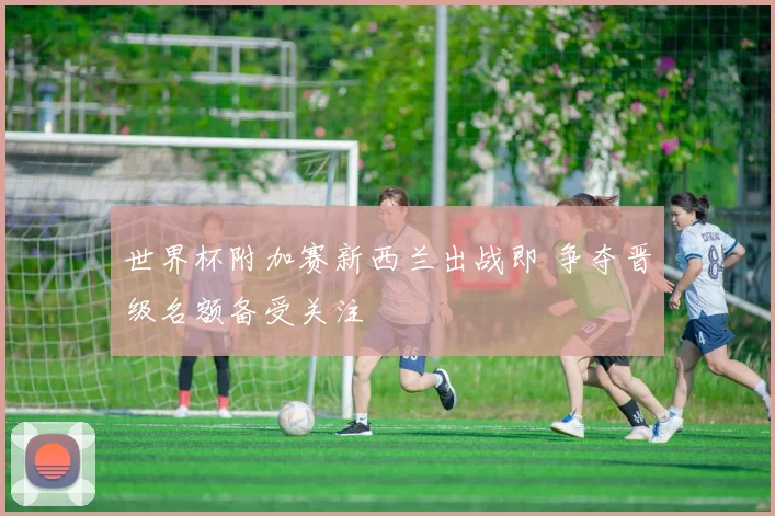 世界杯附加赛新西兰出战即 争夺晋级名额备受关注