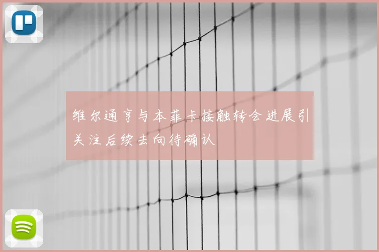 维尔通亨与本菲卡接触转会进展引关注后续去向待确认
