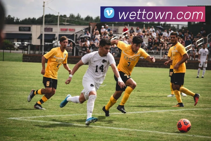 世界杯官网线上平台平台生态图