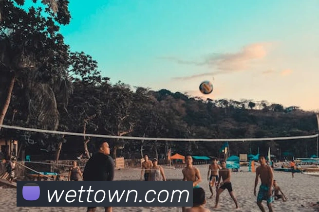 世界杯官网线上平台APP 封面图